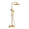 Anzzi Heavy Rainfall Stainless Steel Shower Bar with Hand Sprayer in Brushed Gold SH-AZ101BG - alternate 1
